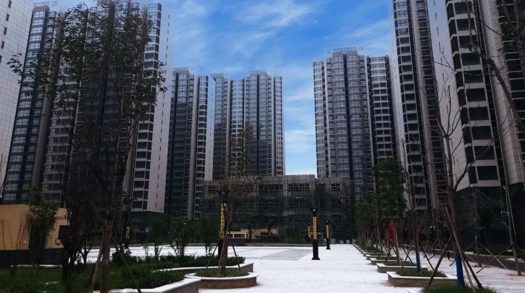 1678870763713560.jpg 微信图片_20230315164322_看图王.jpg