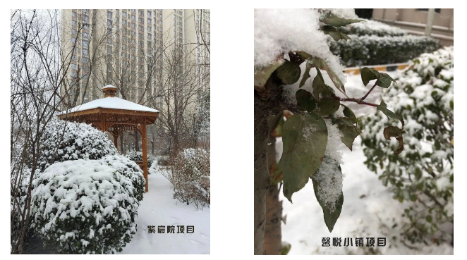 1679044279682745.png 微信截图_20230317171051.png