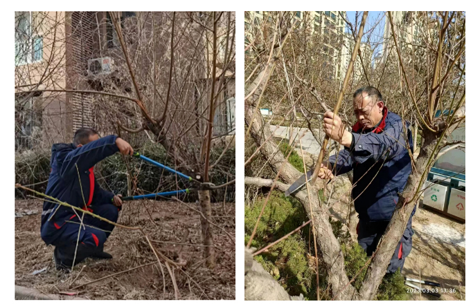 1679303442230597.jpg 微信截图_20230320170921.jpg