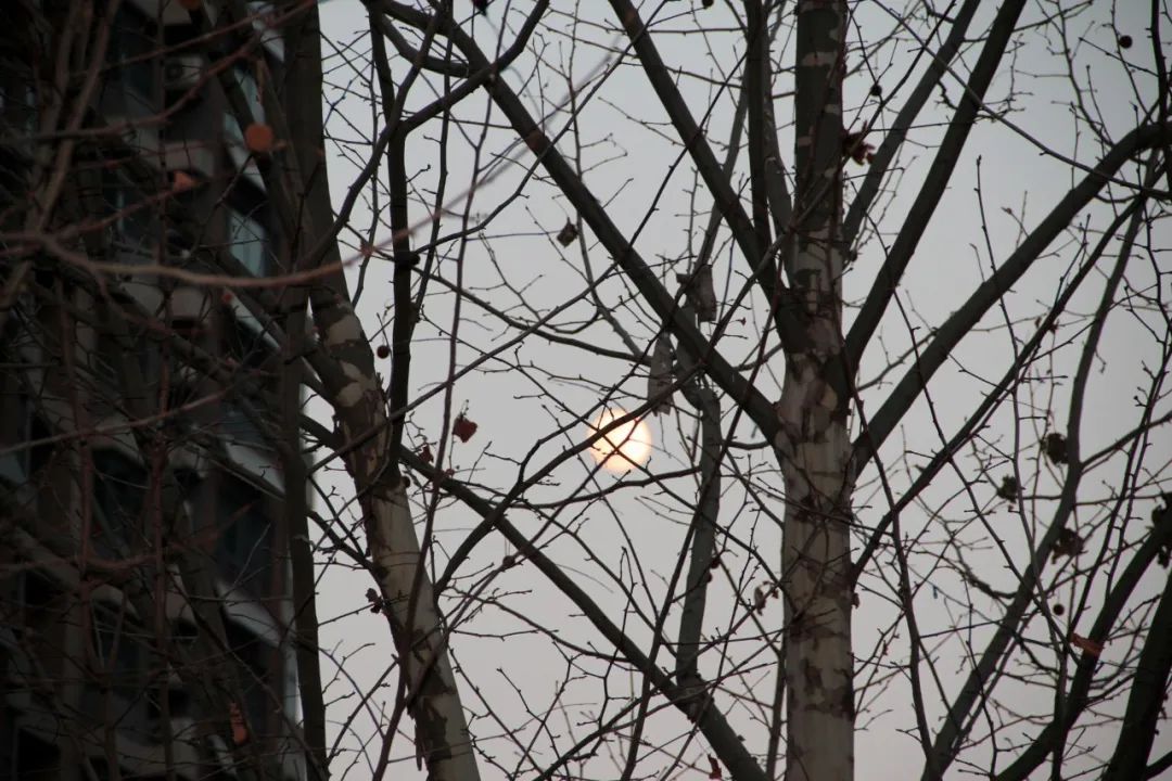 1679383290990574.jpg 微信图片_20230321152007.jpg