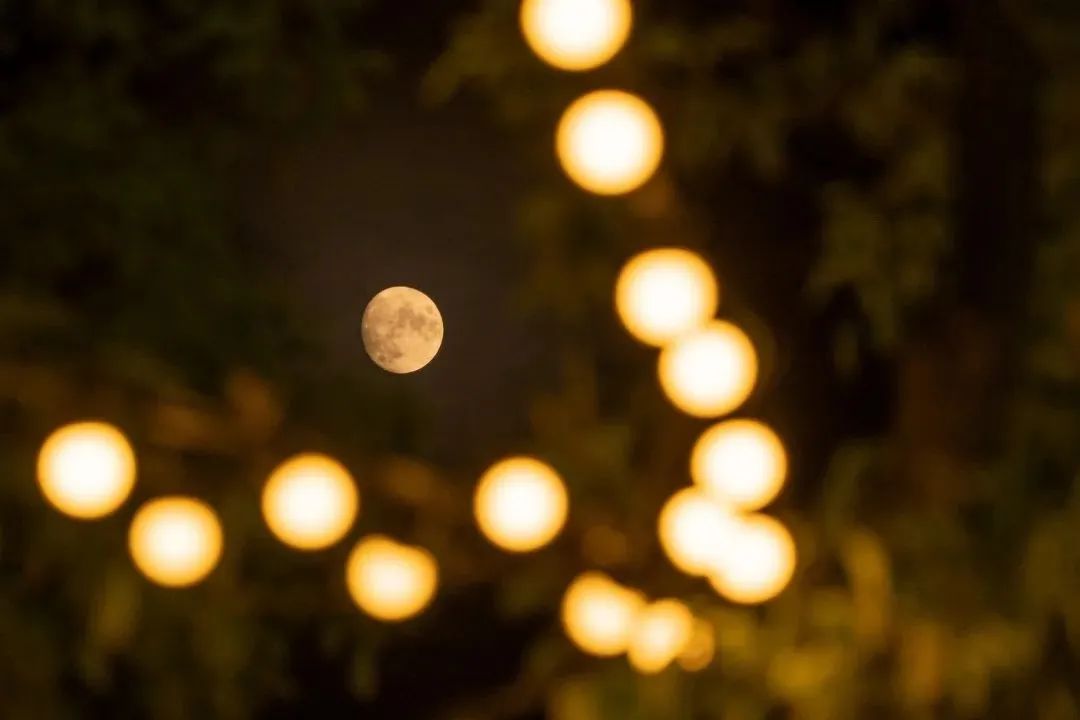 1679383324386497.jpg 微信图片_20230321152014.jpg