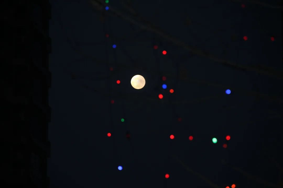 1679383351810237.jpg 微信图片_20230321152017.jpg