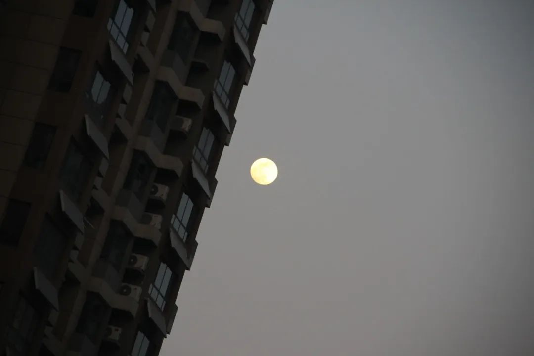 1679383365770132.jpg 微信图片_20230321152023.jpg