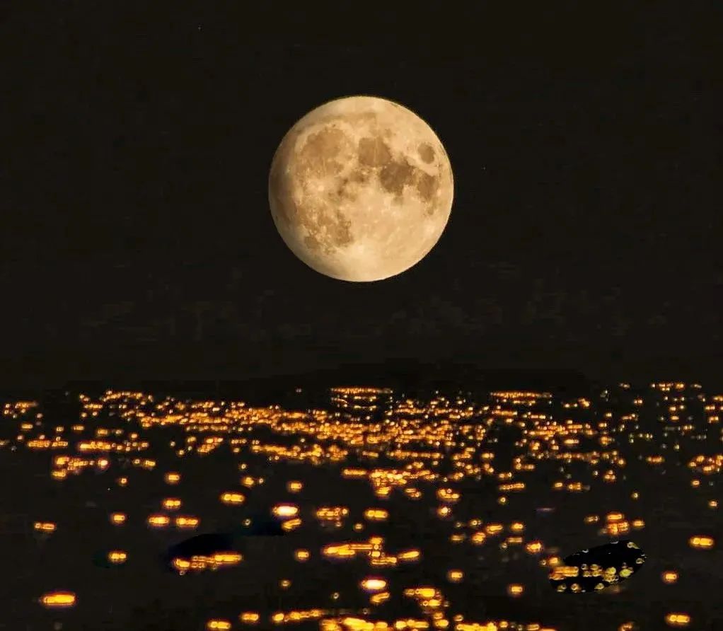 1679383429565543.jpg 微信图片_20230321152037.jpg