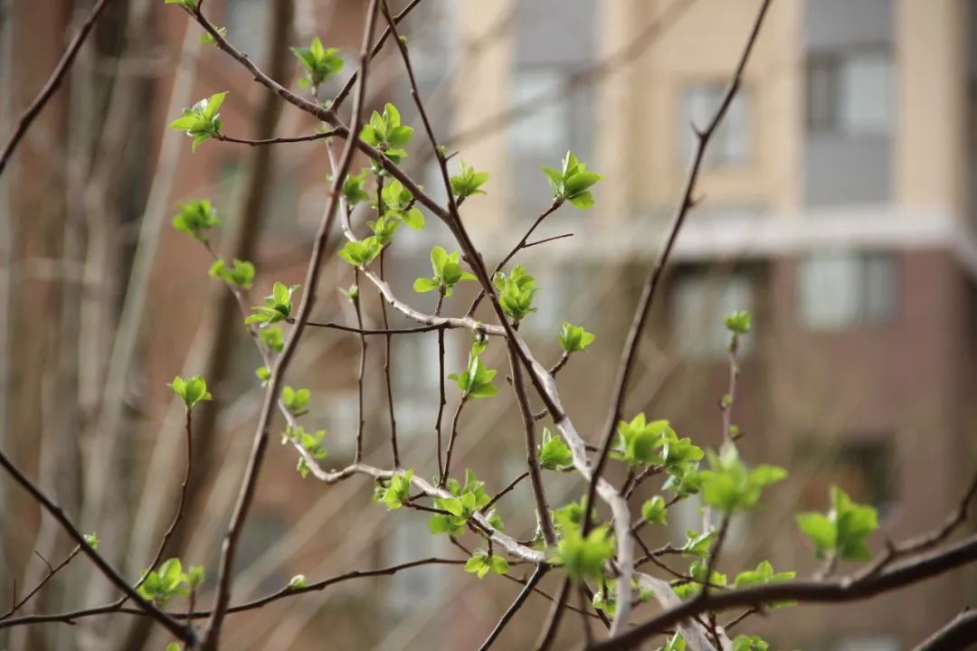 1679385640107833.jpg 微信图片_20230321155834.jpg