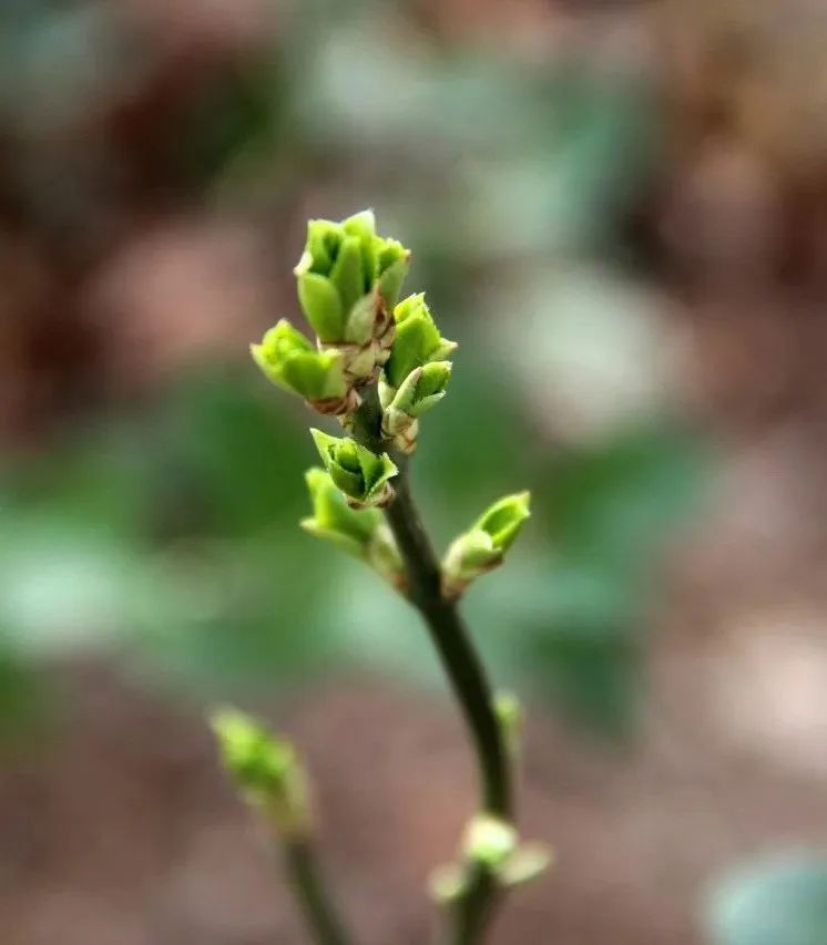 1679385672579981.jpg 微信图片_20230321155844.jpg