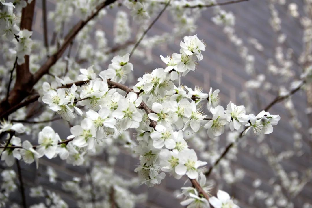 1679385687660342.jpg 微信图片_20230321155904.jpg