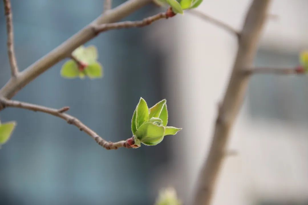 1679385716528151.jpg 微信图片_20230321155915.jpg