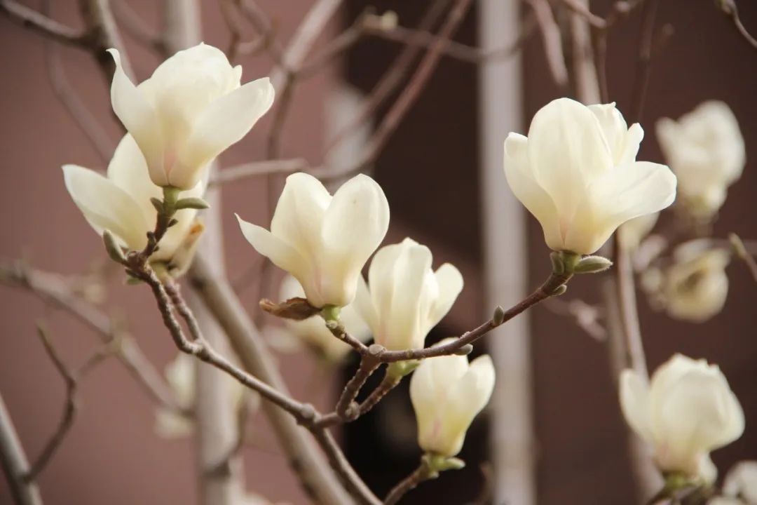 1679385728531704.jpg 微信图片_20230321155931.jpg