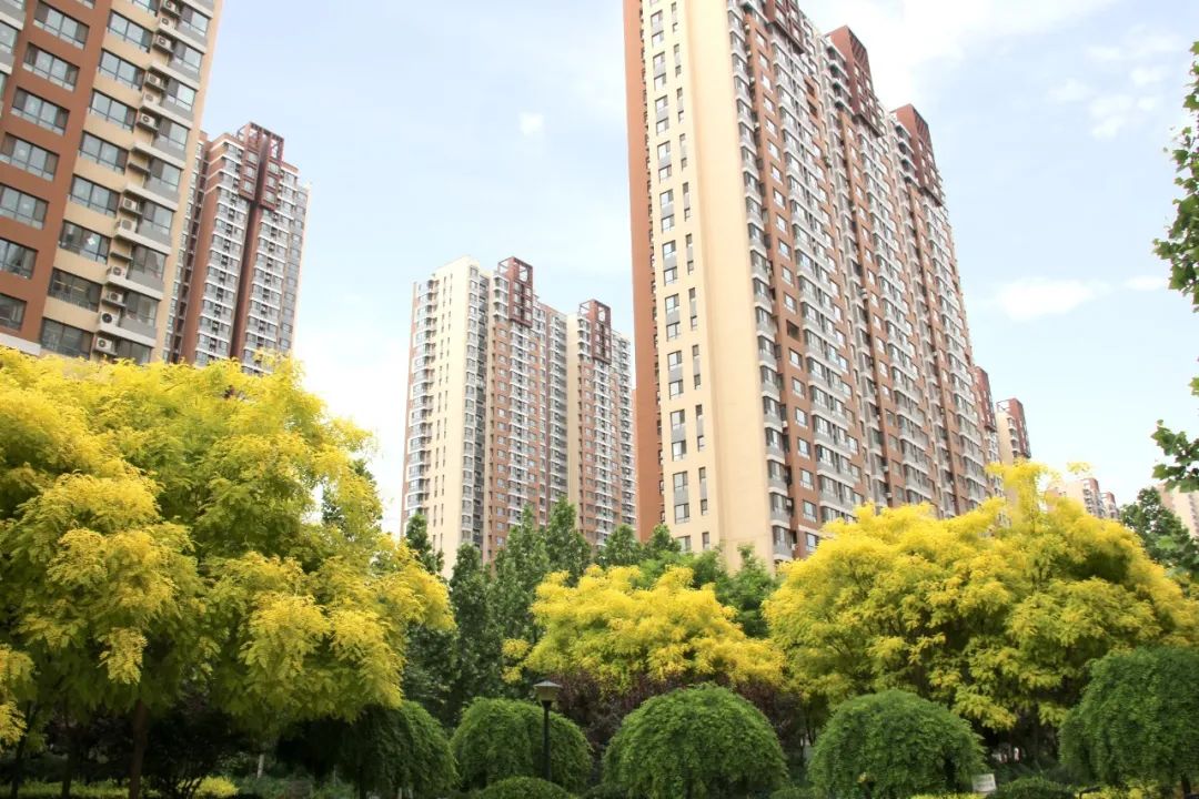 1739864692389078.jpg 640 (4).jpg