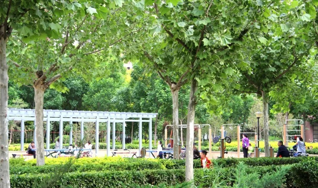 1739864888945747.jpg 640 (2).jpg