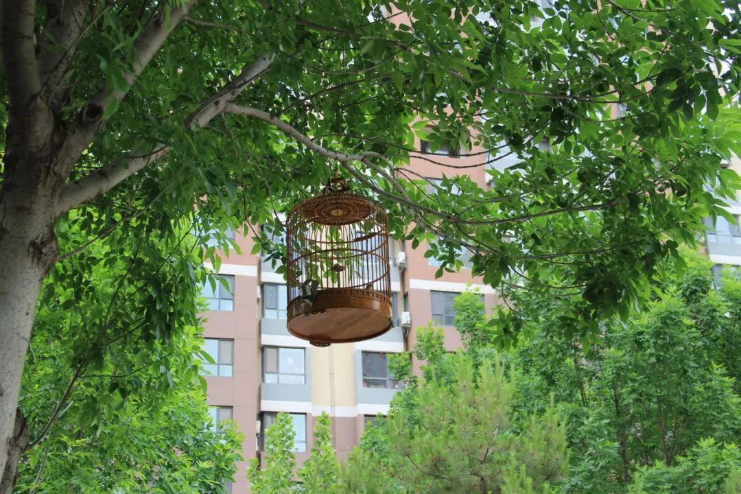 1739864916856131.jpg 640 (3).jpg