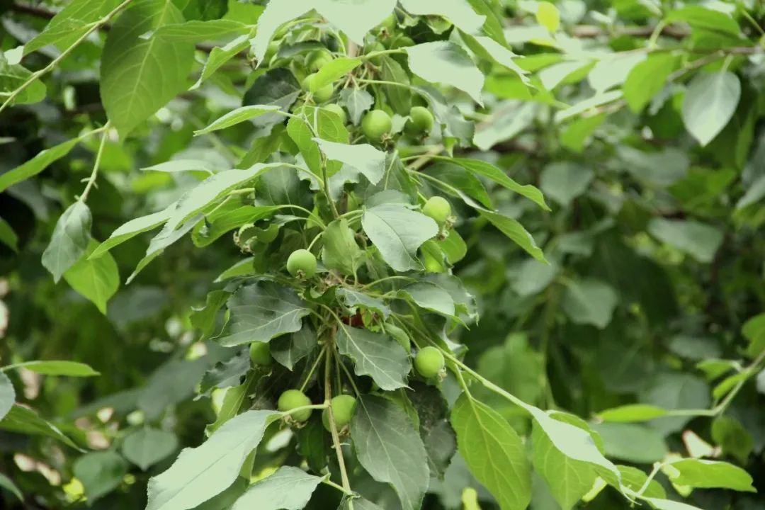 1739864956993801.jpg 640 (5).jpg